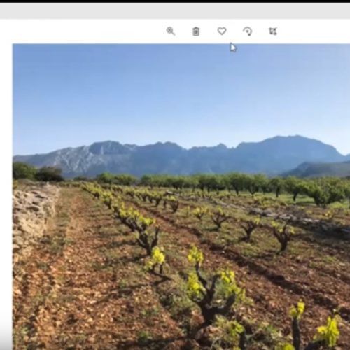 Encuentro Virtual – bodegas Gutiérrez de la Vega y Costers del Priorat