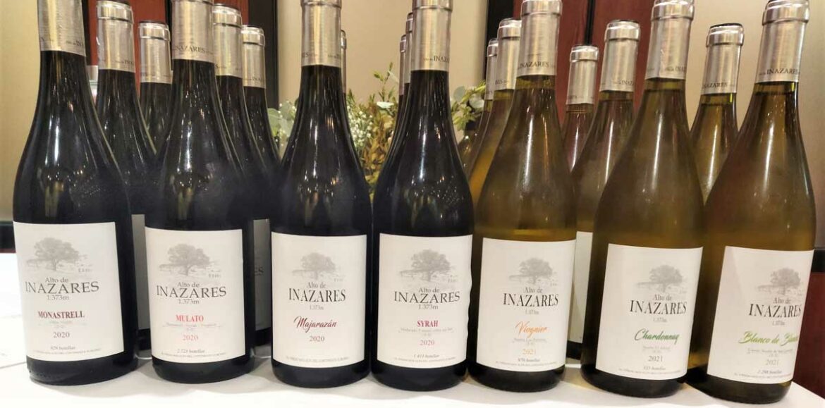 Cata Bodega Altos de Inazares